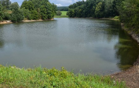 Vlčkovice - Vlčkovický rybník